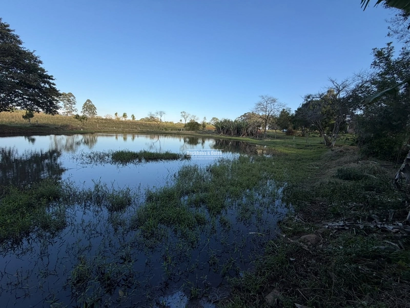 ROLANTE- SÍTIO DE 2 HECTARES - MORRO DOS FISCHER: 17ª foto da galeria de imagens do imóvel
