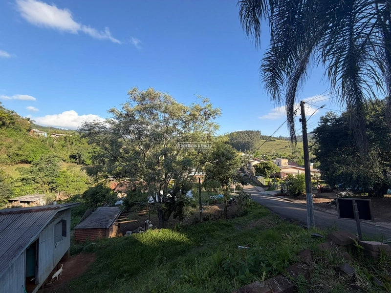 ROLANTE- SÍTIO DE 2 HECTARES - MORRO DOS FISCHER: 2ª foto da galeria de imagens do imóvel