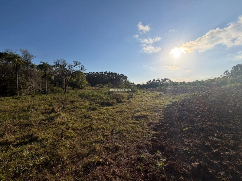 ROLANTE- SÍTIO DE 2 HECTARES - MORRO DOS FISCHER: 8ª foto da galeria de imagens do imóvel