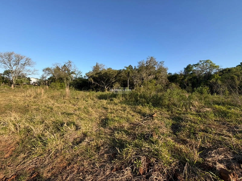 ROLANTE- SÍTIO DE 2 HECTARES - MORRO DOS FISCHER: 9ª foto da galeria de imagens do imóvel