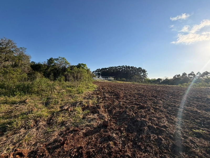 ROLANTE- SÍTIO DE 2 HECTARES - MORRO DOS FISCHER: 6ª foto da galeria de imagens do imóvel
