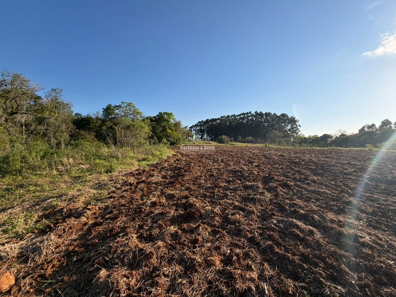 ROLANTE- SÍTIO DE 2 HECTARES - MORRO DOS FISCHER: 11ª foto da galeria de imagens do imóvel