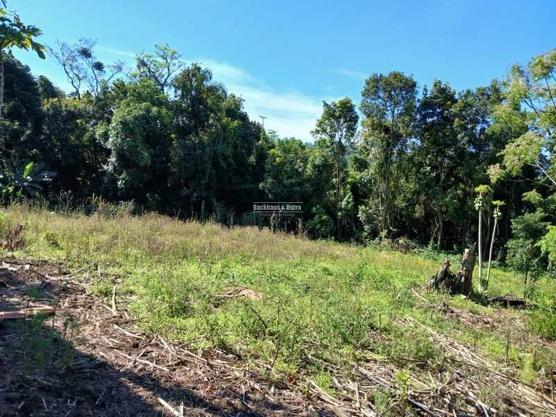ROLANTE- SÍTIO DE 1,2 HECTARES ESCRITURADO - GLÓRIA: 20ª foto da galeria de imagens do imóvel