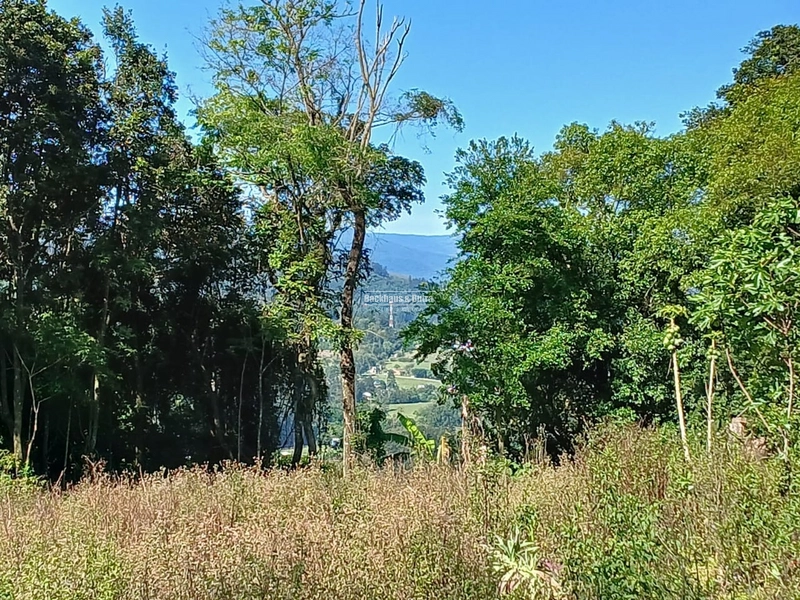 ROLANTE- SÍTIO DE 1,2 HECTARES ESCRITURADO - GLÓRIA: 8ª foto da galeria de imagens do imóvel