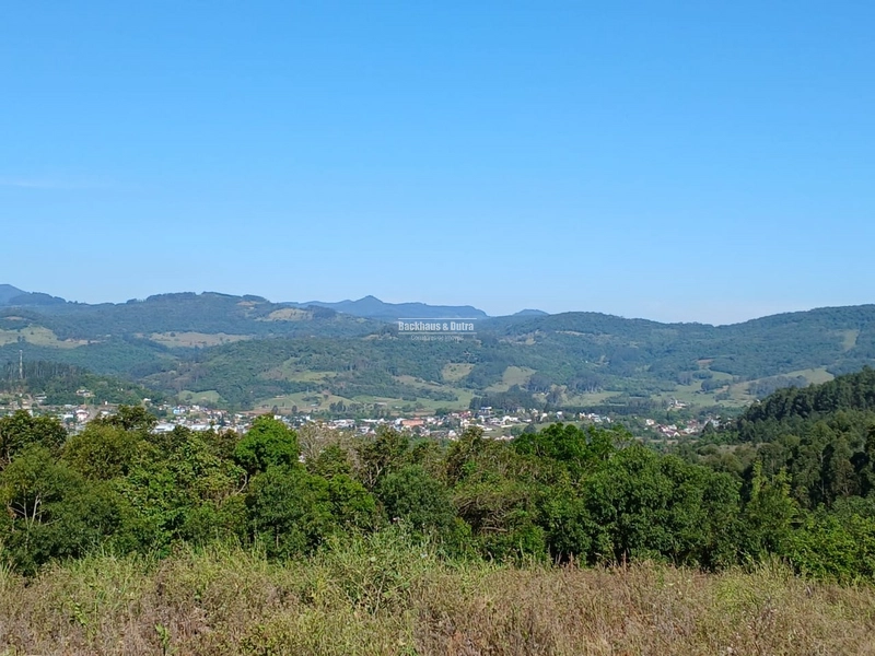 ROLANTE- SÍTIO DE 1,2 HECTARES ESCRITURADO - GLÓRIA: 4ª foto da galeria de imagens do imóvel
