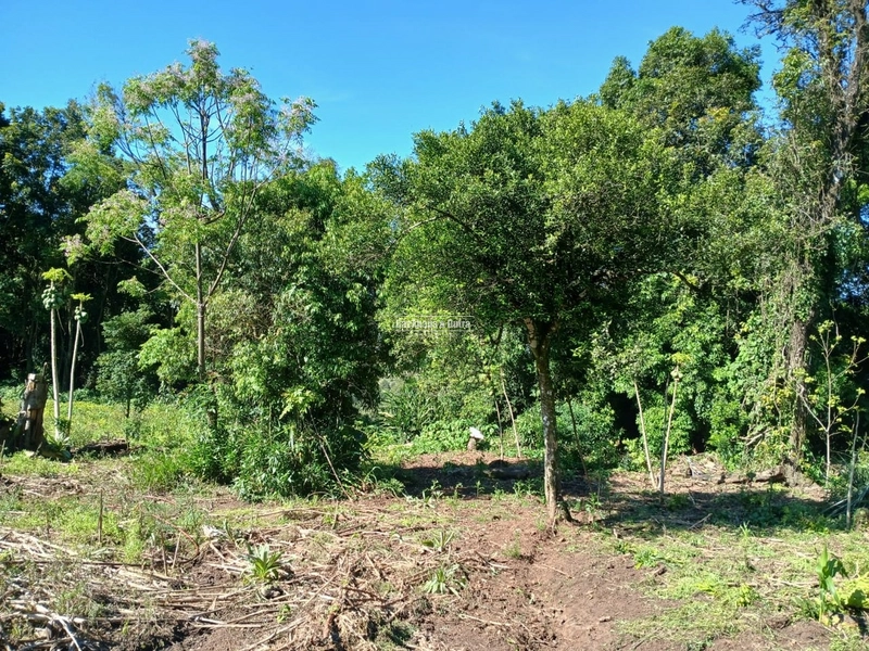 ROLANTE- SÍTIO DE 1,2 HECTARES ESCRITURADO - GLÓRIA: 21ª foto da galeria de imagens do imóvel