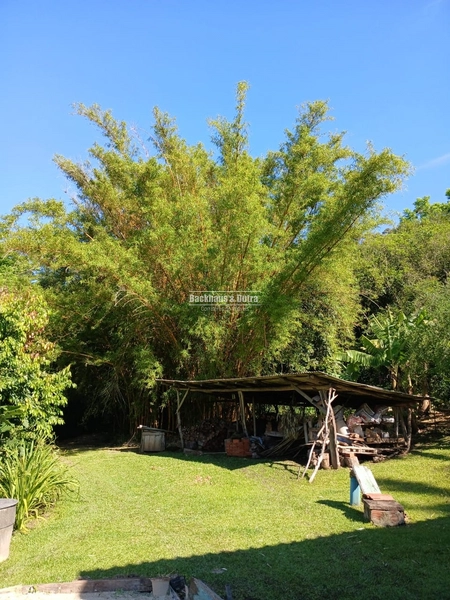 ROLANTE- SÍTIO DE 1,2 HECTARES ESCRITURADO - GLÓRIA: 25ª foto da galeria de imagens do imóvel