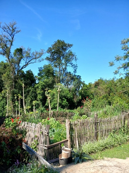 ROLANTE- SÍTIO DE 1,2 HECTARES ESCRITURADO - GLÓRIA: 23ª foto da galeria de imagens do imóvel