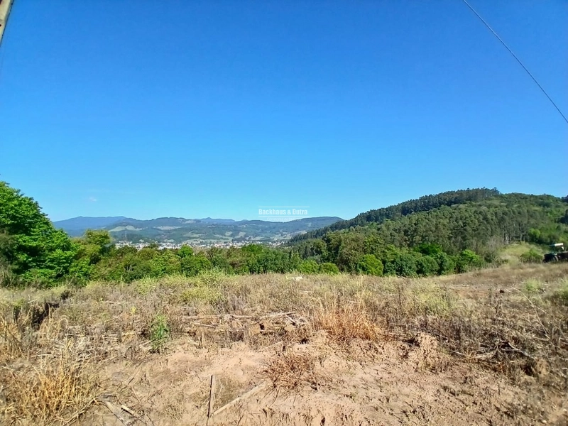ROLANTE- SÍTIO DE 1,2 HECTARES ESCRITURADO - GLÓRIA: 12ª foto da galeria de imagens do imóvel