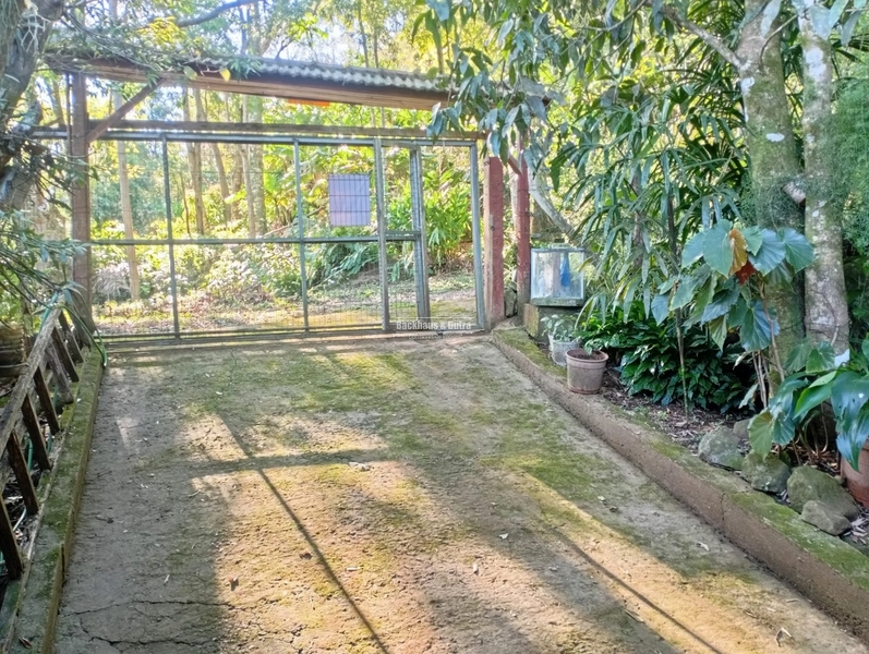 ROLANTE -SÍTIO DE 2,2 HECTARES COM ESCRITURA - ÁGUA BRANCA: 14ª foto da galeria de imagens do imóvel