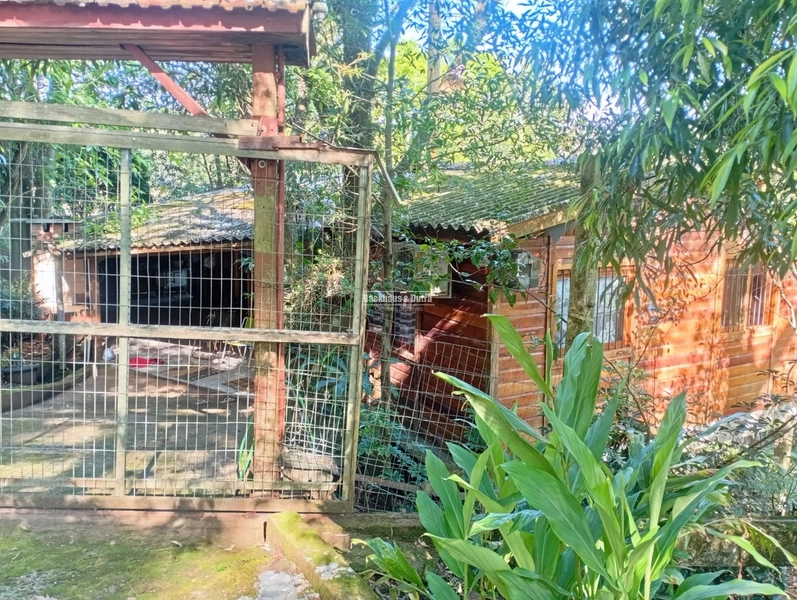 ROLANTE -SÍTIO DE 2,2 HECTARES COM ESCRITURA - ÁGUA BRANCA: 2ª foto da galeria de imagens do imóvel