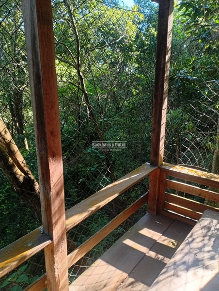 ROLANTE -SÍTIO DE 2,2 HECTARES COM ESCRITURA - ÁGUA BRANCA: 7ª foto da galeria de imagens do imóvel