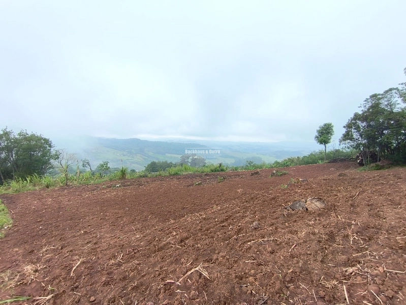 ROLANTE - CHÁCARA DE 1 HECTARES - MORRO DE FIGUEIRA: 13ª foto da galeria de imagens do imóvel