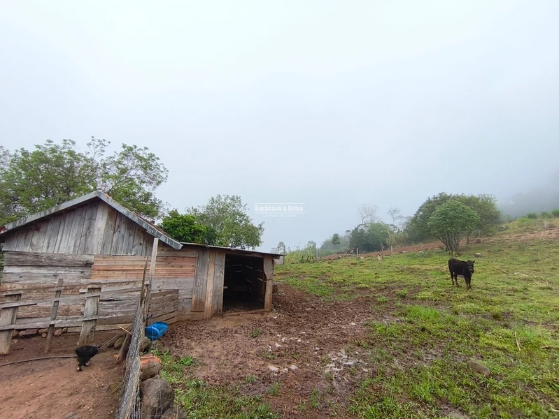 ROLANTE - CHÁCARA DE 1 HECTARES - MORRO DE FIGUEIRA: 11ª foto da galeria de imagens do imóvel