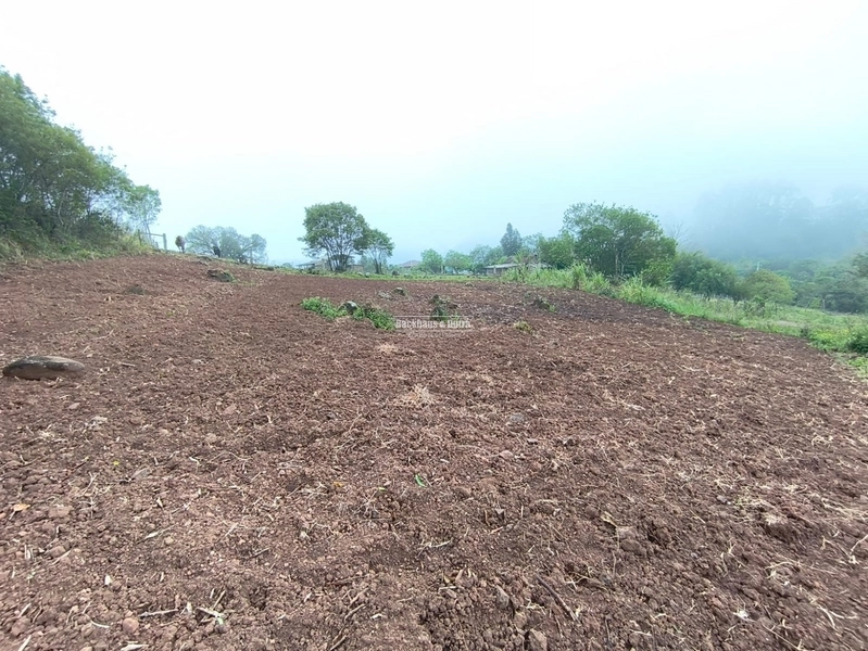 ROLANTE - CHÁCARA DE 1 HECTARES - MORRO DE FIGUEIRA: 15ª foto da galeria de imagens do imóvel
