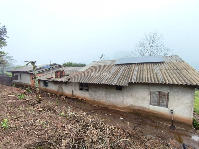 ROLANTE - CHÁCARA DE 1 HECTARES - MORRO DE FIGUEIRA: 8ª foto da galeria de imagens do imóvel