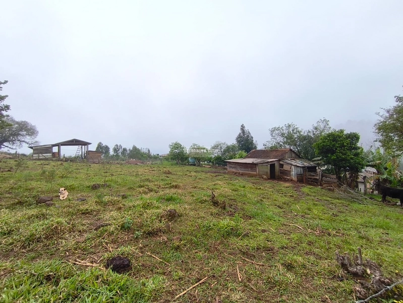 ROLANTE - CHÁCARA DE 1 HECTARES - MORRO DE FIGUEIRA: 1ª foto da galeria de imagens do imóvel
