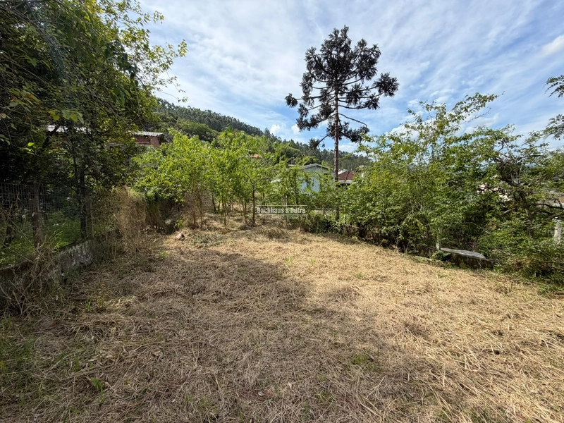 ROLANTE - TERRENO DE 434,5 M² -PICCADILLY: 4ª foto da galeria de imagens do imóvel