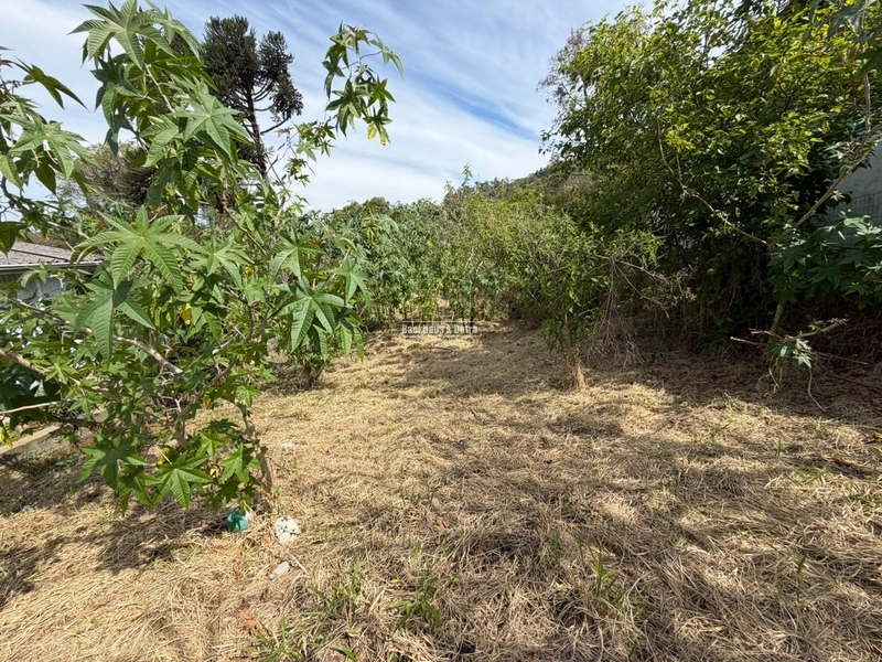 ROLANTE - TERRENO DE 434,5 M² -PICCADILLY: 2ª foto da galeria de imagens do imóvel