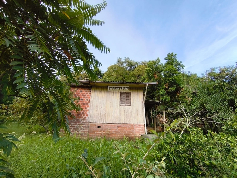 ROLANTE- CHÁCARA DE 3 HECTARES- MORRO GRANDE: 8ª foto da galeria de imagens do imóvel