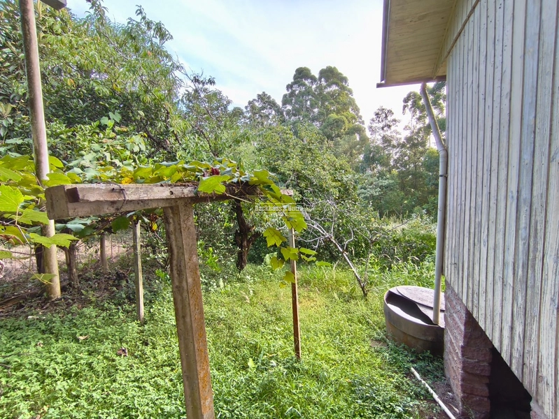 ROLANTE- CHÁCARA DE 3 HECTARES- MORRO GRANDE: 6ª foto da galeria de imagens do imóvel