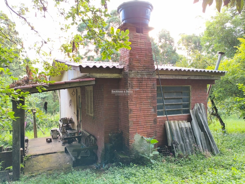 ROLANTE- CHÁCARA DE 3 HECTARES- MORRO GRANDE: 4ª foto da galeria de imagens do imóvel