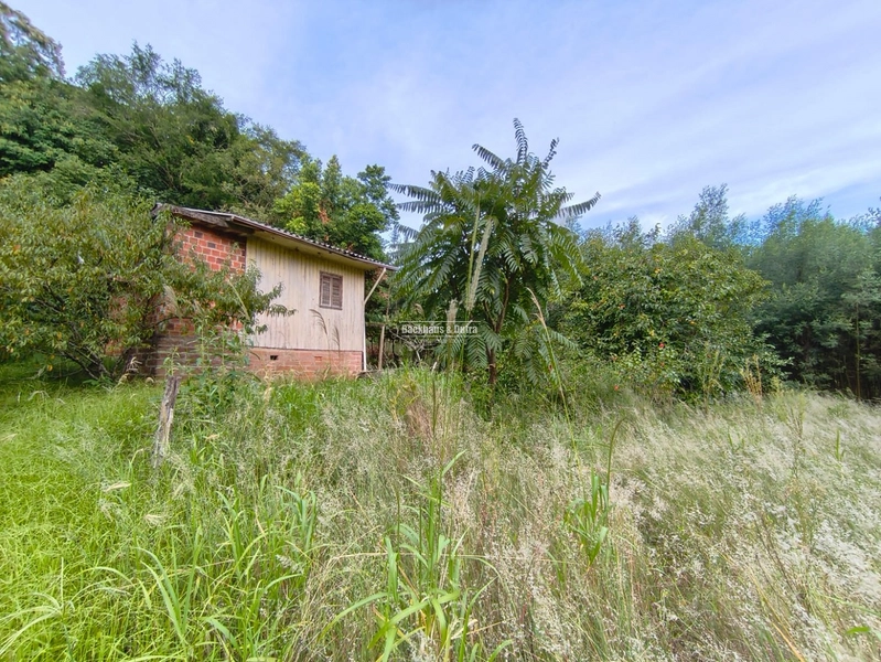ROLANTE- CHÁCARA DE 3 HECTARES- MORRO GRANDE: 12ª foto da galeria de imagens do imóvel