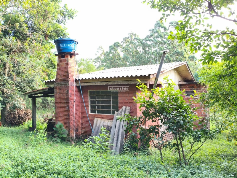 ROLANTE- CHÁCARA DE 3 HECTARES- MORRO GRANDE: 3ª foto da galeria de imagens do imóvel
