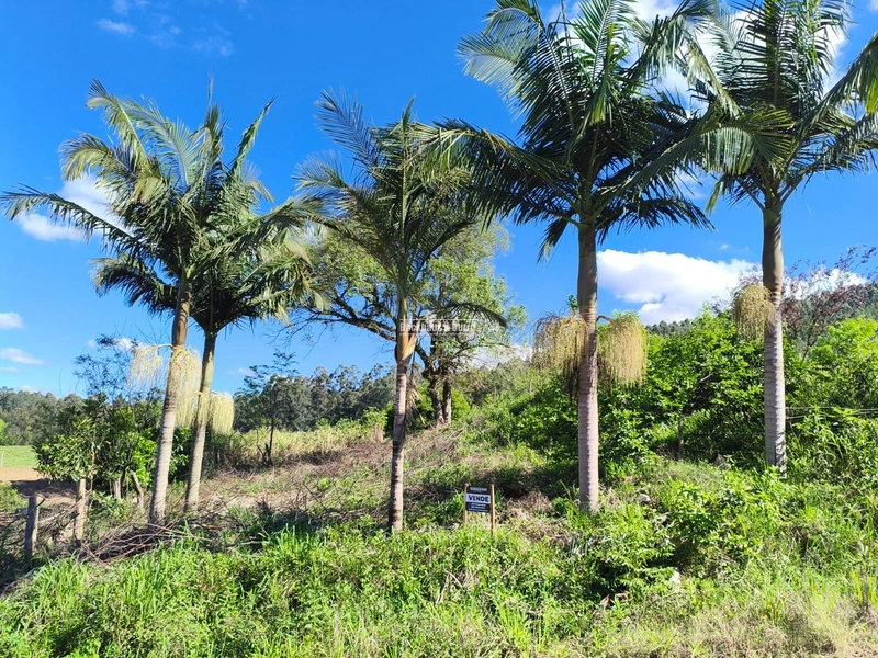 ROLANTE- TERRENO DE 450m²- AREIA: 6ª foto da galeria de imagens do imóvel