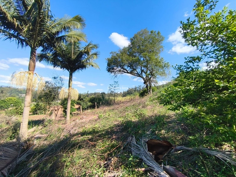 ROLANTE- TERRENO DE 450m²- AREIA: 8ª foto da galeria de imagens do imóvel
