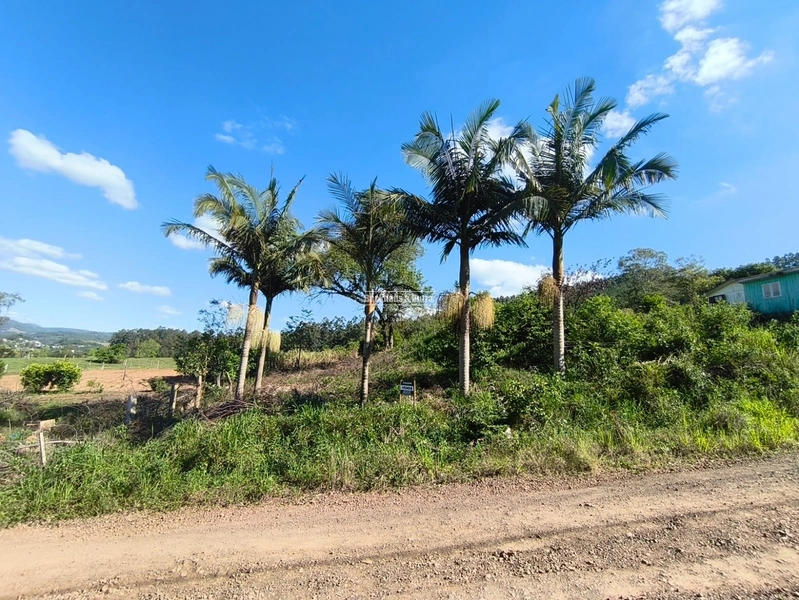 ROLANTE- TERRENO DE 450m²- AREIA: 1ª foto da galeria de imagens do imóvel