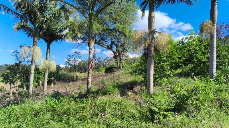 ROLANTE- TERRENO DE 450m²- AREIA: 10ª foto da galeria de imagens do imóvel