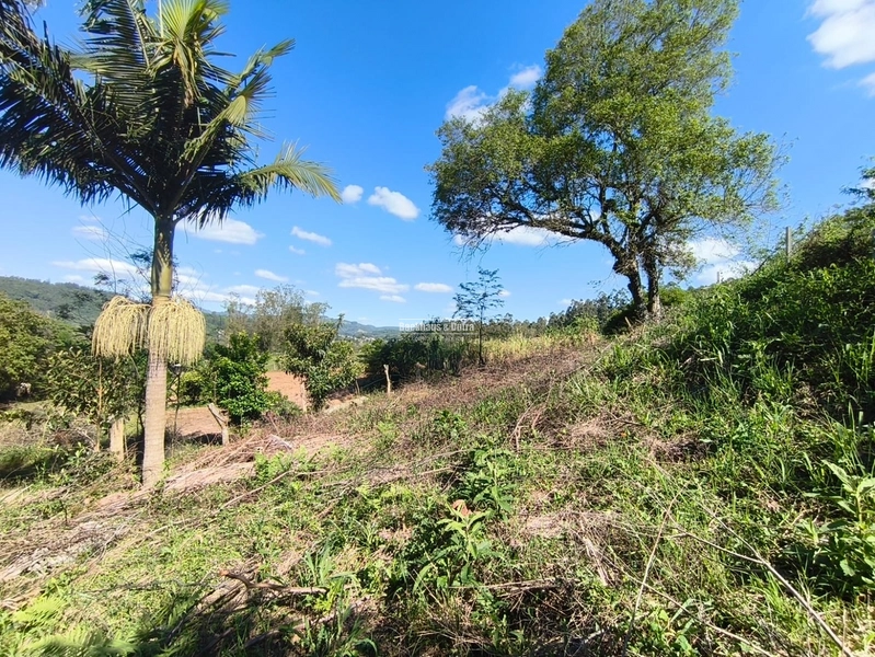 ROLANTE- TERRENO DE 450m²- AREIA: 4ª foto da galeria de imagens do imóvel