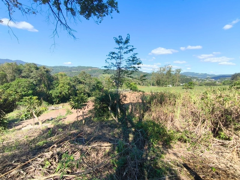 ROLANTE- TERRENO DE 450m²- AREIA: 3ª foto da galeria de imagens do imóvel
