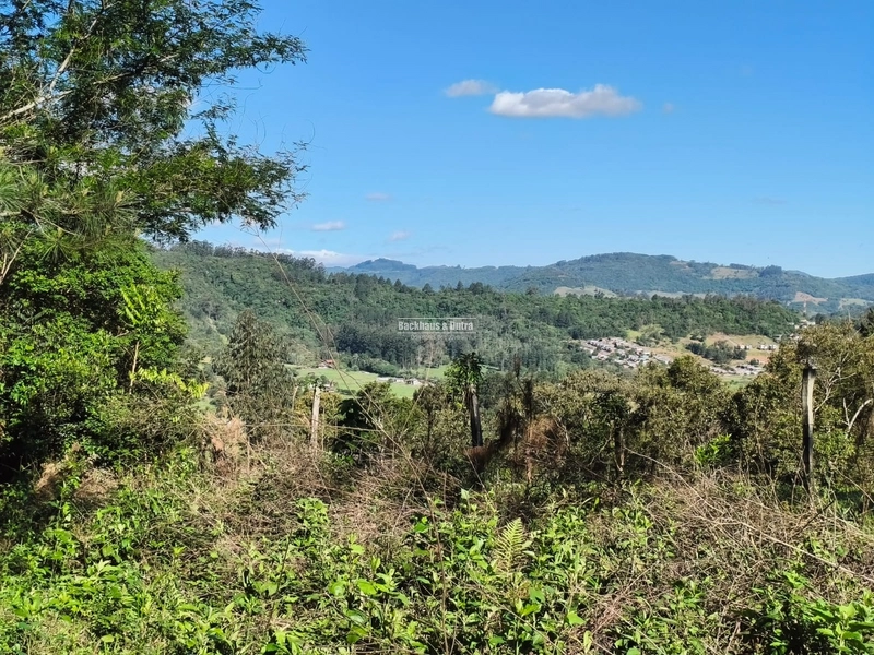 ROLANTE- CHÁCARA DE 5.610M²- AREIA: 6ª foto da galeria de imagens do imóvel