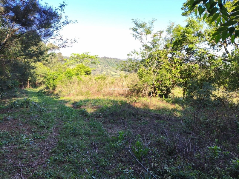 ROLANTE- CHÁCARA DE 5.610M²- AREIA: 13ª foto da galeria de imagens do imóvel