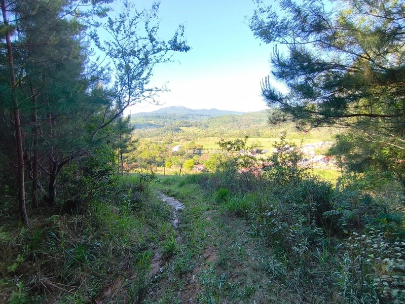 ROLANTE- CHÁCARA DE 5.610M²- AREIA: 12ª foto da galeria de imagens do imóvel