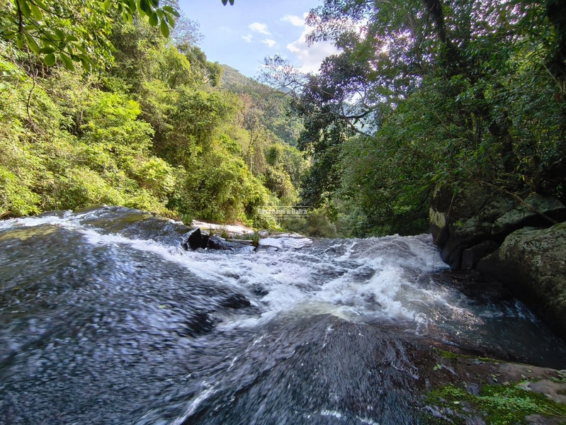 ROLANTE- CHÁCARA DE 4 HECTARES- BOA ESPERANÇA: 5ª foto da galeria de imagens do imóvel