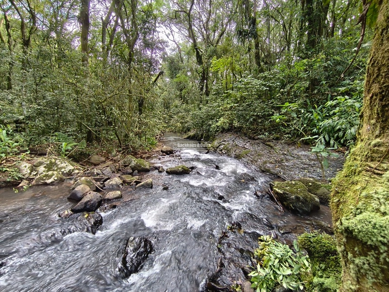 ROLANTE- CHÁCARA DE 4 HECTARES- BOA ESPERANÇA: 6ª foto da galeria de imagens do imóvel