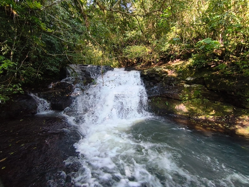 ROLANTE- CHÁCARA DE 4 HECTARES- BOA ESPERANÇA: 3ª foto da galeria de imagens do imóvel
