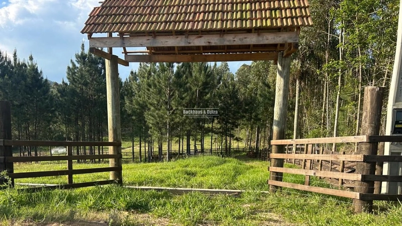ROLANTE- CHÁCARA DE 2.500m²- AÇOITA CAVALO: 2ª foto da galeria de imagens do imóvel