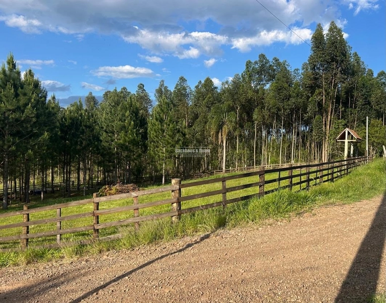 ROLANTE- CHÁCARA DE 2.500m²- AÇOITA CAVALO: 8ª foto da galeria de imagens do imóvel