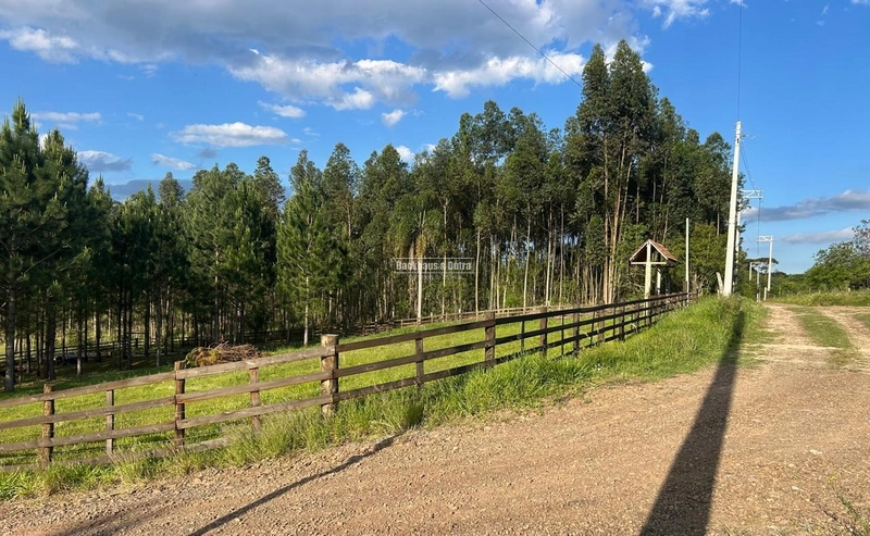 ROLANTE- CHÁCARA DE 2.500m²- AÇOITA CAVALO: 1ª foto da galeria de imagens do imóvel