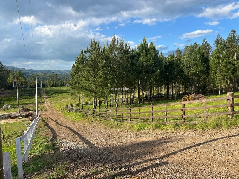 ROLANTE- CHÁCARA DE 2.500m²- AÇOITA CAVALO: 3ª foto da galeria de imagens do imóvel