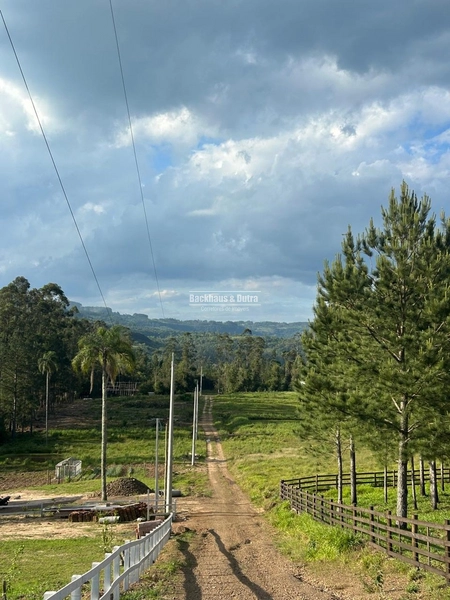 ROLANTE- CHÁCARA DE 2.500m²- AÇOITA CAVALO: 7ª foto da galeria de imagens do imóvel