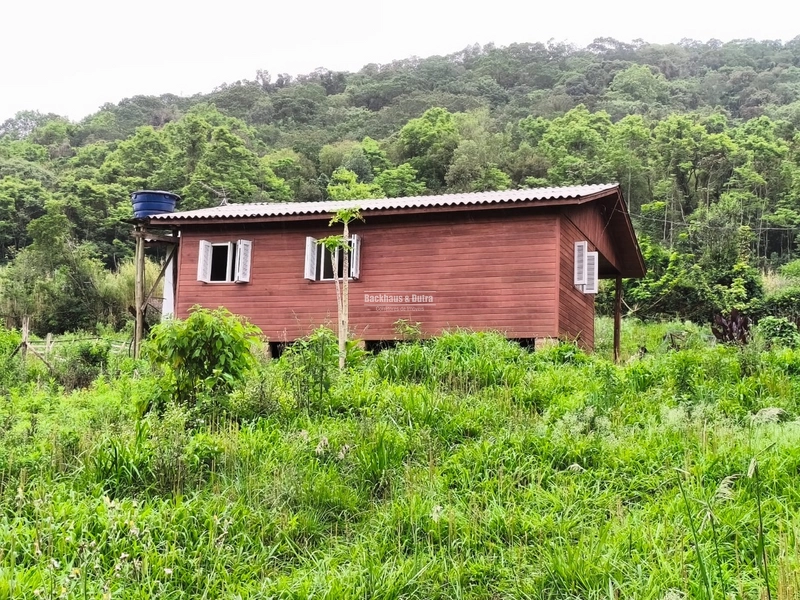 SÃO FRANCISCO DE PAULA- CHÁCARA DE 4 HECTARES - BOA VISTA