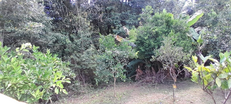 ROLANTE - TERRENO COM 1.900M²- BAIRRO AREIA: 7ª foto da galeria de imagens do imóvel