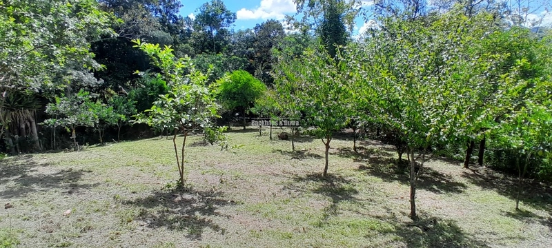 ROLANTE - TERRENO COM 1.900M²- BAIRRO AREIA: 1ª foto da galeria de imagens do imóvel