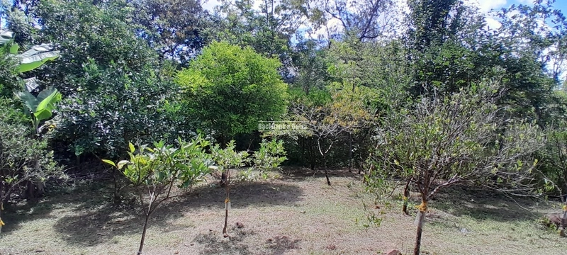 ROLANTE - TERRENO COM 1.900M²- BAIRRO AREIA: 3ª foto da galeria de imagens do imóvel