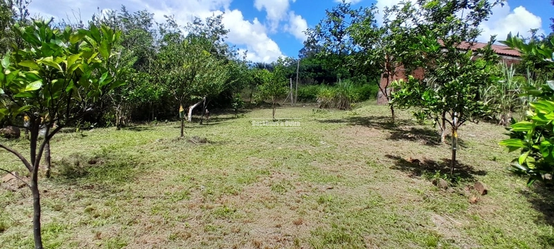 ROLANTE - TERRENO COM 1.900M²- BAIRRO AREIA: 5ª foto da galeria de imagens do imóvel